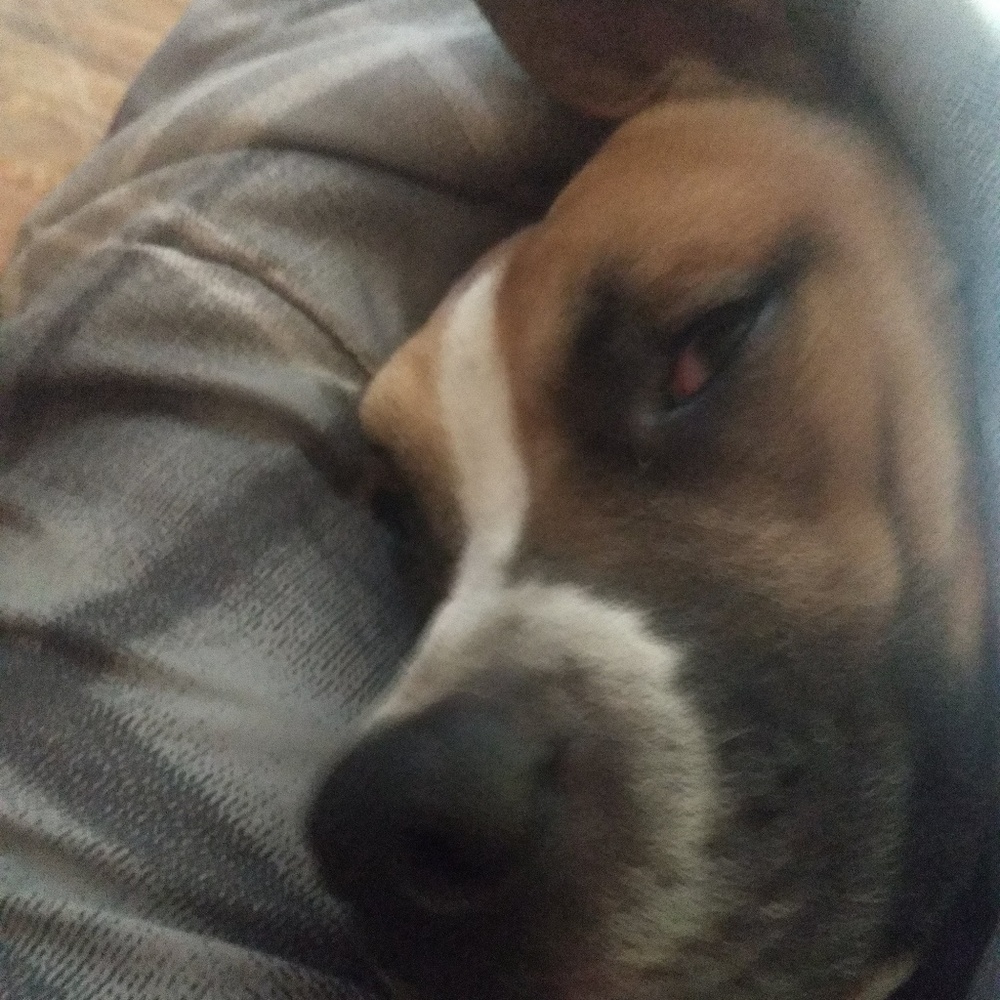 Meet your Posher, Morgan